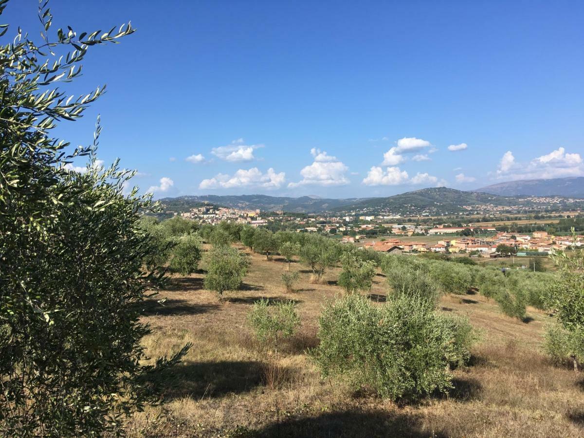 Villa Le Terre Di Isa Magione Esterno foto