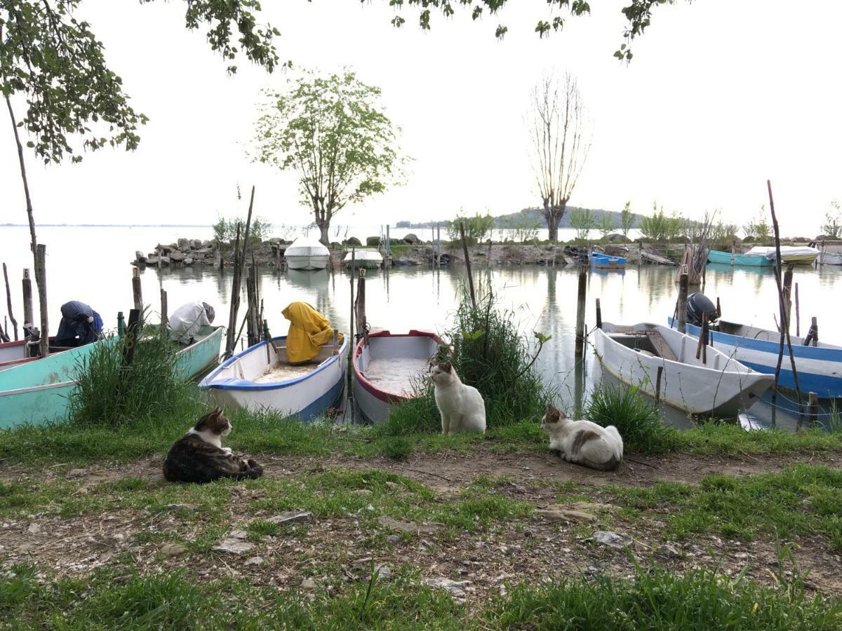 Villa Le Terre Di Isa Magione Esterno foto
